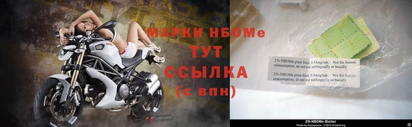 индика Бугульма