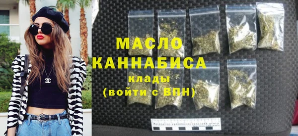 индика Бугульма