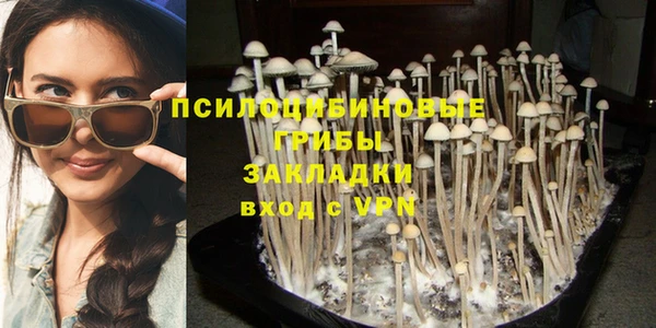 не бодяженный Бородино