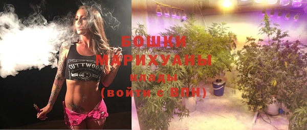 индика Бугульма