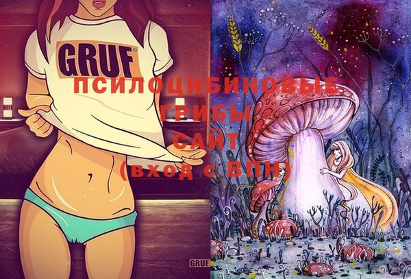 индика Бугульма
