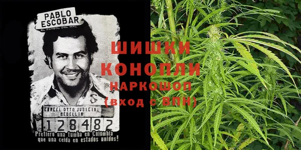 индика Бугульма