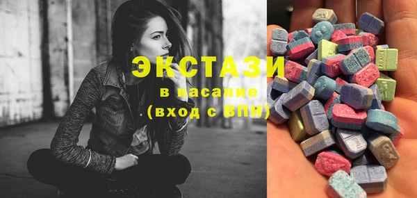 индика Бугульма