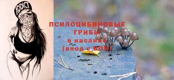 не бодяженный Бородино